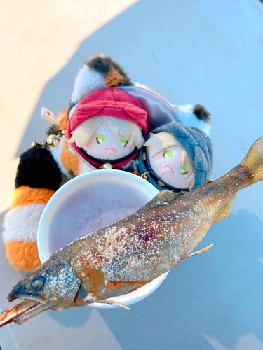 鮎の丸焼きを食ったぜ✨外で食う魚は最高に美味かったにゃ〜🐟🐟