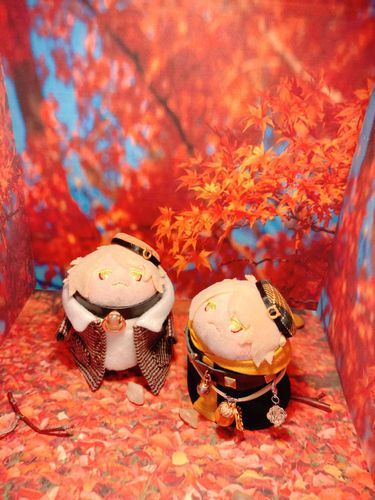 この箱、紅葉がすげぇにゃ！？