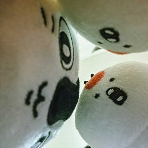 みんなでくらいとこ覗いてたの。