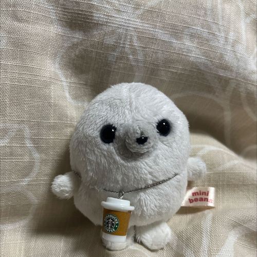 アザラシのあざらしです
ぬいがいっぱいおうちにやってきて、もうすぐ一年です
おしゃれアザラシ目指してます🦭