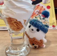 あざらし