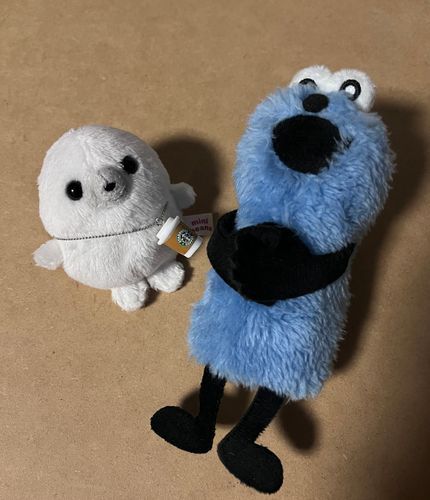 新入りがきました
先輩なのでおうちのルールを教えます