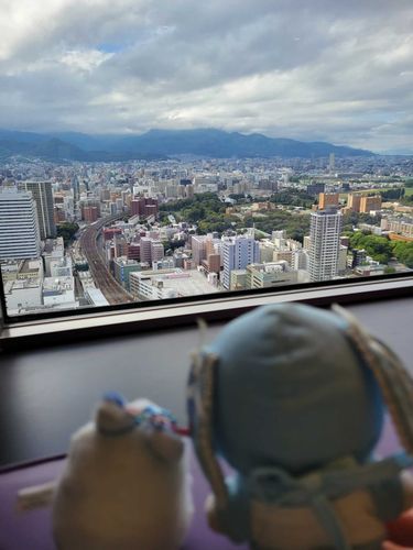 りんねさん きれいですね