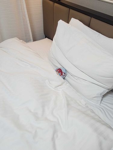 つかれたっしょ