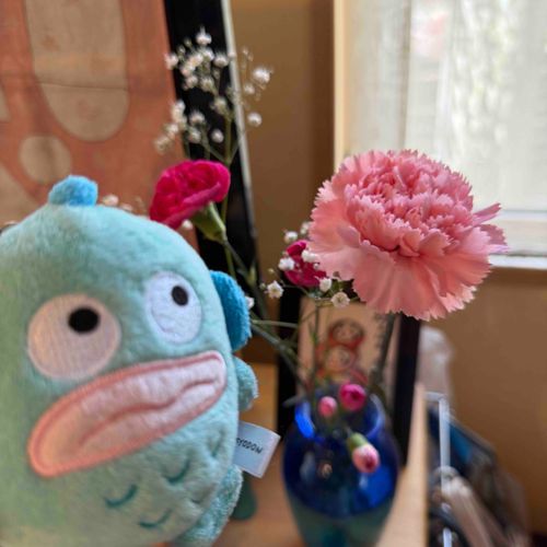 母の日だったね。
ありがとうの気持ちはあったかいね💐