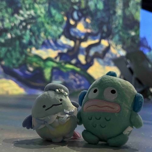 うわぁ……神秘的な場所だね。
なんだかわくわくするね。