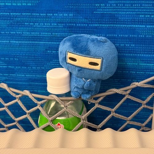 忍法！隠れ身の術でござる。