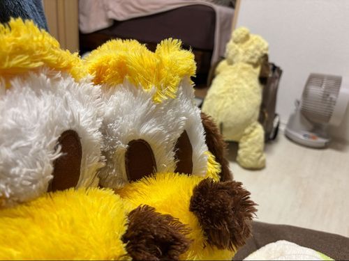 お米好きのめてぃ（右端）に呆れてる、ざらざぶ。めてぃは飼い主の職場（寿司屋）にも現れて、「おれのシャリ！シャリ！」って店長に迷惑をかけているという都市伝説あり。