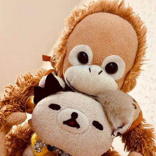 ちびゴリとめめちゃんのおしゃちん のせゆすけね〜✨
みんな なかよくちてね🧡