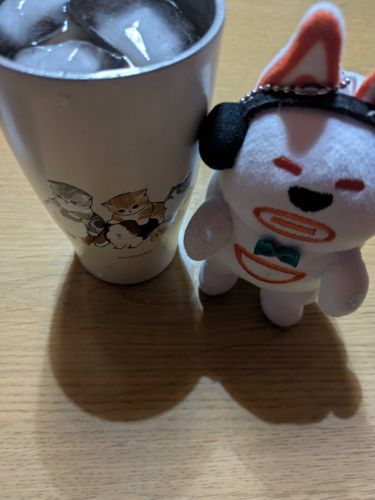 休みの前日ですが…明日に検査を控え…お酒我慢で麦茶…頑張るね
