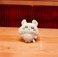 様々なモモ