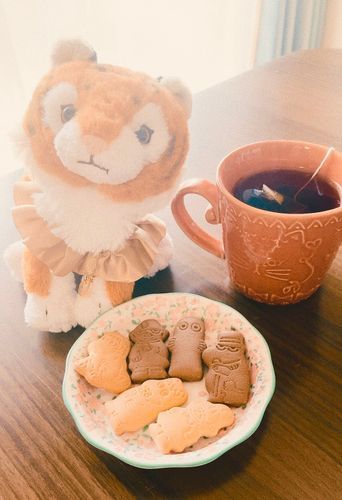 クッキーだよ、こはにゃん！
🐯がぁう