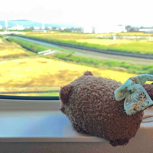 おでかけしてきました
リボンでおめかししていったよ🎀