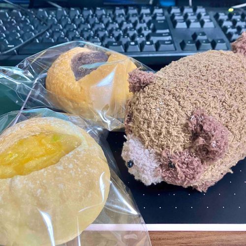 駅で売ってたパンだよ
お食べ