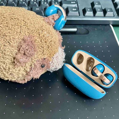 かわいいイヤホン買っちゃった〜