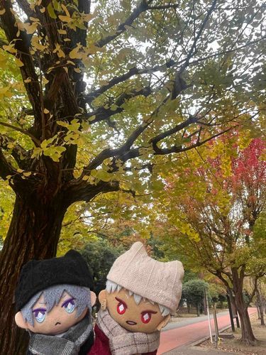 秋だね～🍁🍂