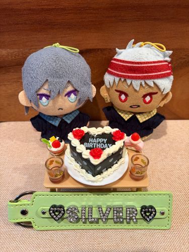 滑り込み💦シルバーお誕生日おめでとう🎉