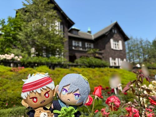 旧古河庭園のバラ🌹