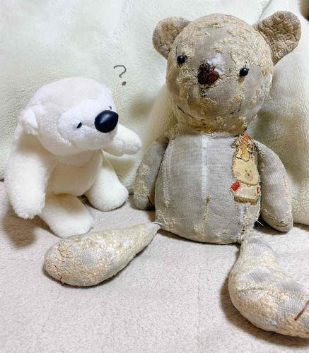 この人、ふわもこさんかな？？
何歳なんやろう...？
