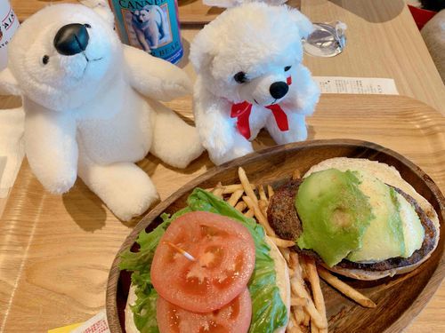かいぬしが美味しそうな
もの食べてました。
目線で圧かけてみたけど
もらえませんでした。
ざんねん。