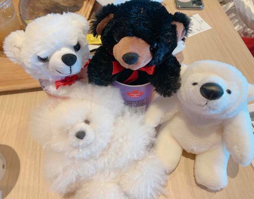 集合写真。
またこの4人であつまろうな。