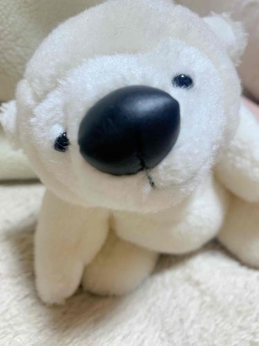 かいぬしがとっても疲れ果てた顔でかえってきた。
「ふわもこになりたい...」
と呟いている。
かいぬしおつかれさま。