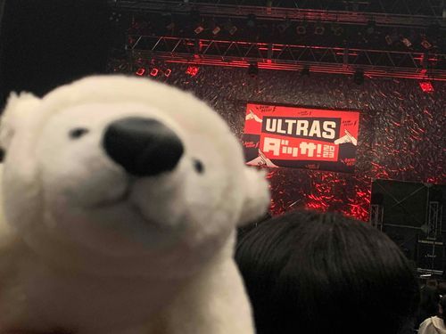ライブにいきました。
ライブ中、ぼくはカバンの中にいたけど
ノリノリでした。
おおきにでした🤜🫷🎧