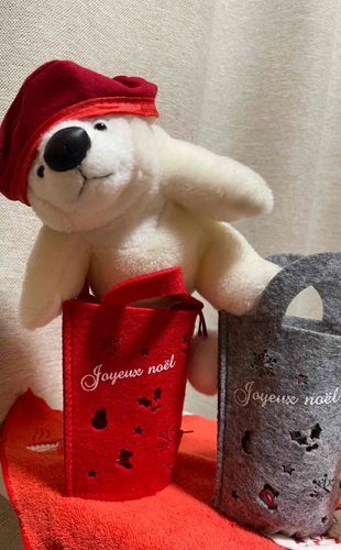 よいしょ　がんばりましたが　
片足しか入らなくて悔しいしろくまでございます