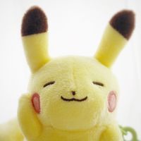 ピカさん