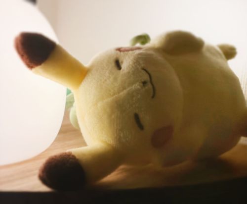 💤