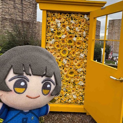 あの中にはいってみようよ！