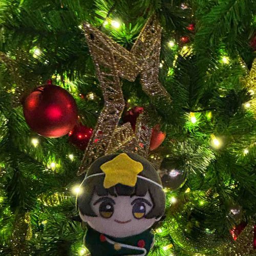 メリークリスマス！🎄🎁⛄️