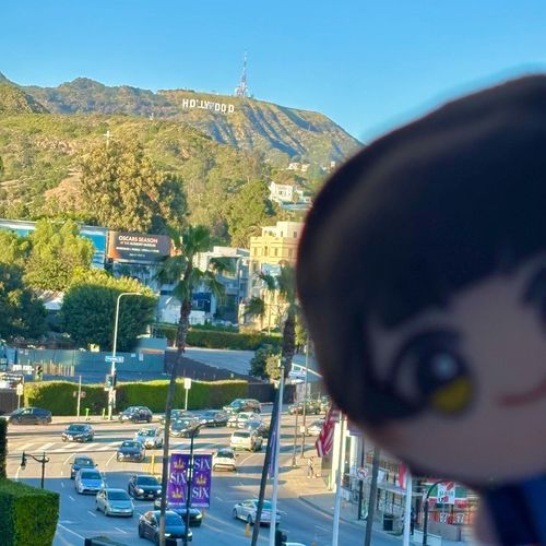 ほら！うえだよ！よくみて！！