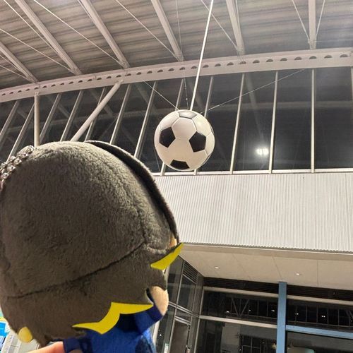 あのでっかいボールでサッカーしたい！