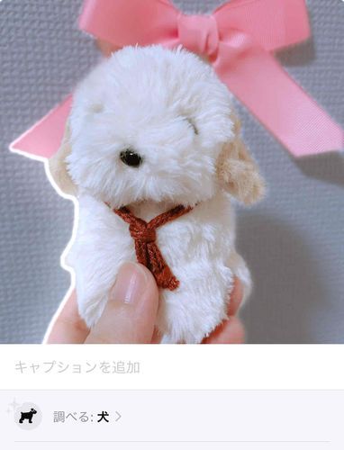 ちなみにちゃんと犬って出てくる