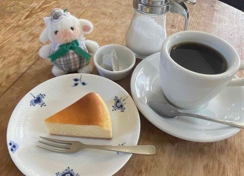 素敵なカフェでチーズケーキを食べてきたよ🧀しっとりしておいしかったあ🍴𓈒𓂂𓏸