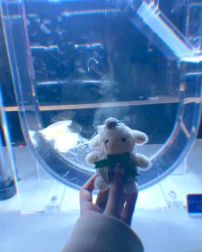 水族館に行ってきたよ！
水槽の中でお魚やペンギンたち気持ちよさそうだったよ🐟
優雅で幻想的だったなあ
