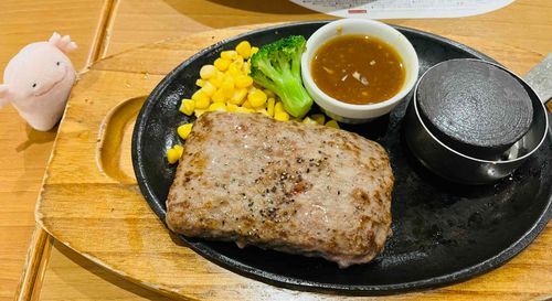 べっどになりそうなはんばーぐだね