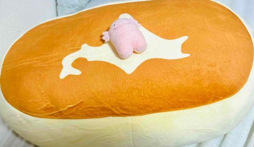 ちーずむしけーきっていうんだって