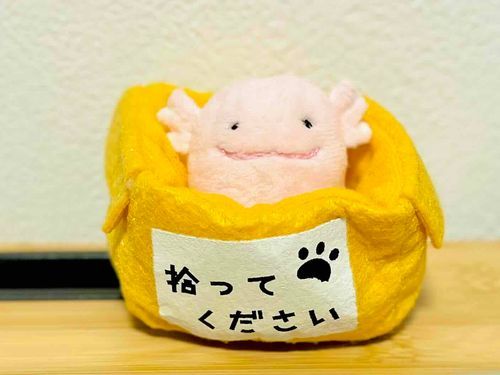 ひろってね