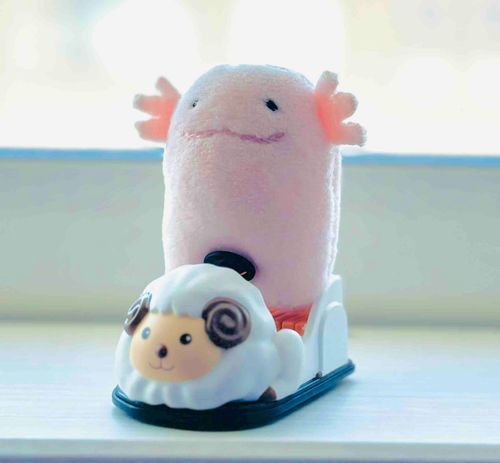 ぼくのくるまだよ