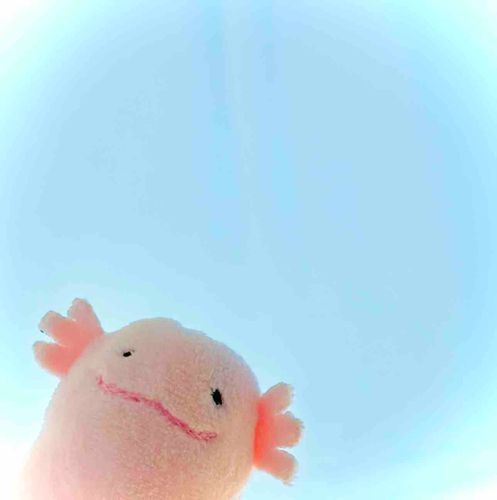 なつはあついよ
ぼくはあついのにがてだよ
ぼくはすずしいところにいるよ