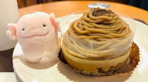もんぶらんっていうんだって