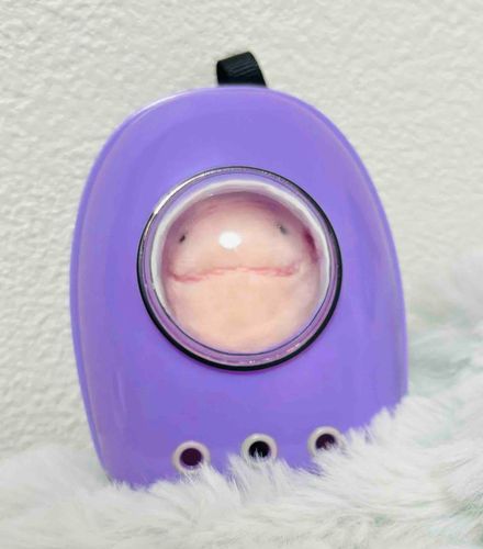 あたらしいおでかけばっぐだよ