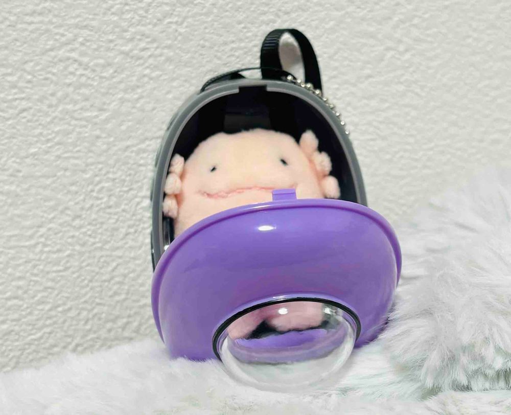 あたらしいおでかけばっぐだよ