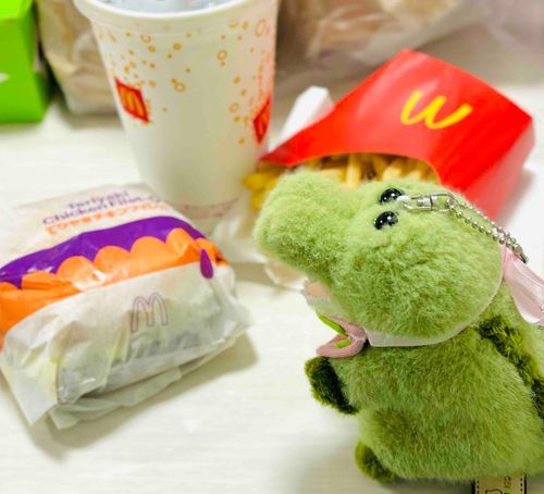 きのうのゆうはん！！！！！！！！おいしかた！！！！！！！！