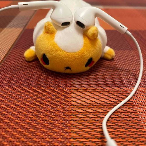 音楽を聴いているの〜