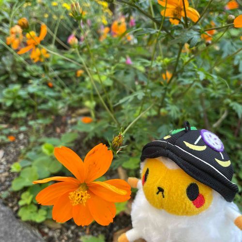 くんくん…
お花の香りがするの〜