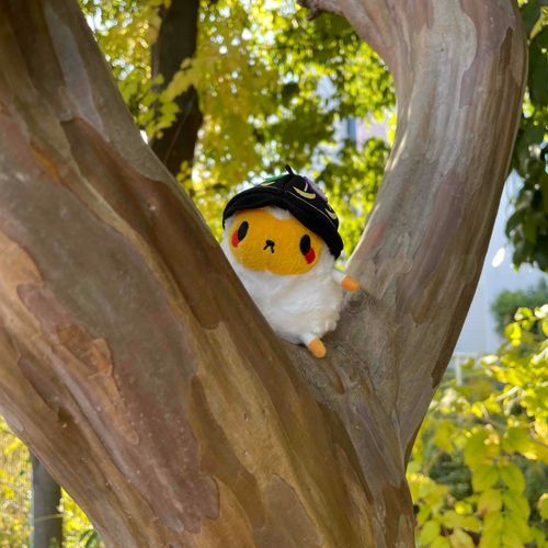 木登りしたの〜！