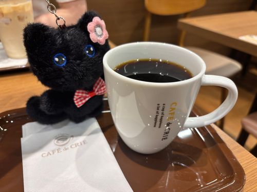 麻辣ぬこでし。
雨が降ってきたのでカフェに避難☕*°
